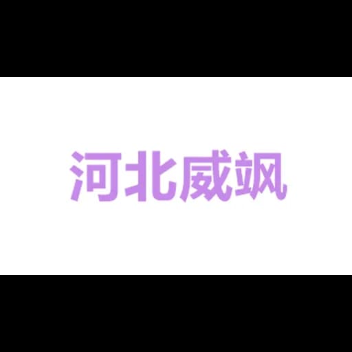 Hebei Weisa International Freight forwarding Co., Ltd logo