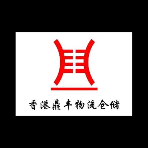 HONGKONG DINGFENG LOGISTICS STORAGE CO LIMITED logo