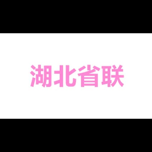 HUBEI PROVINCE LIANFENG OVERSEAS AGRIC. DEVELOPMENT GROUP CO., LTD logo