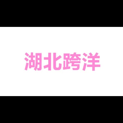 Hubei Trans-ocean International Logistics Co., LTD logo