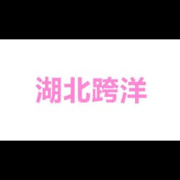 Hubei Trans-ocean International Logistics Co., LTD logo