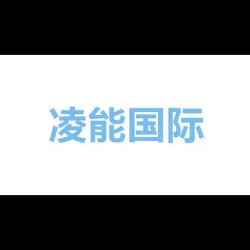 Lanner International Logistics (Shanghai) Co.,Ltd. logo