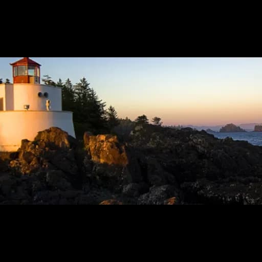 LIANYUNGANG ZHANHANG International freight forwarder logo