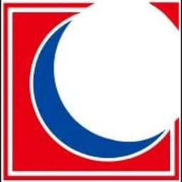 Long Chang Electric Industrial Co., Ltd. logo