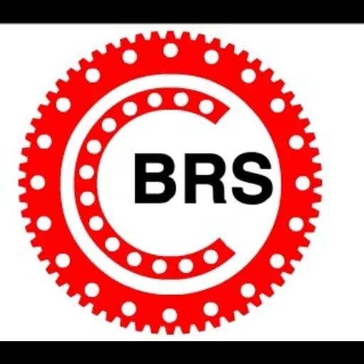 LUOYANG BRS BEARING CO.,LTD. logo