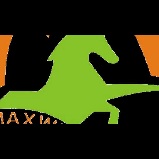 Maxwin Logistics logo