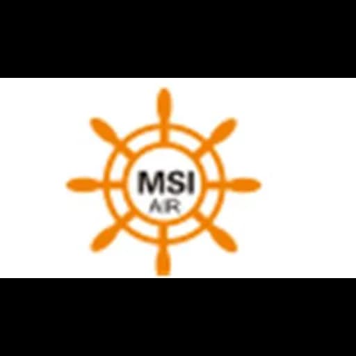 MSI logo