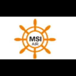 MSI logo