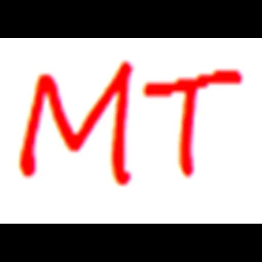 MT TRADING AND LOGISTICS HK LIMITED logo