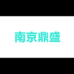 NANJING DINGSHENG INTERNATIONAL FREIGHT CO.,LTD logo