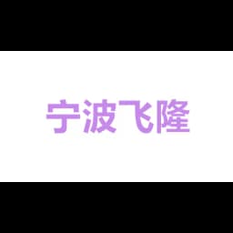 Ningbo Feilong International Logistics Co., Ltd. logo