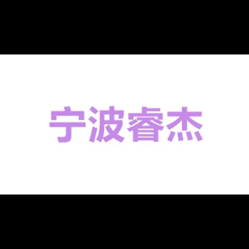 NINGBO RUIJIE SUPPLY CHAIN MANGEMENT CO.,LTD logo