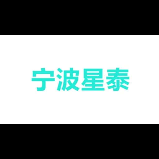 NINGBO XINGTAI INTERNATIONAL FORWARDER COMPANY CO.,LTD logo