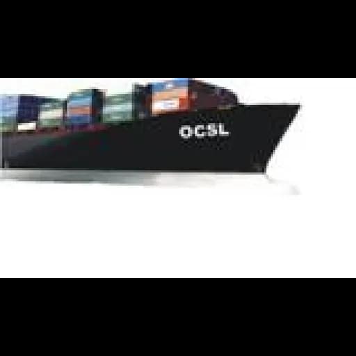 OCEAN CARGO SHIPPING AND LOGISTICS PRIVATE LIMITED logo