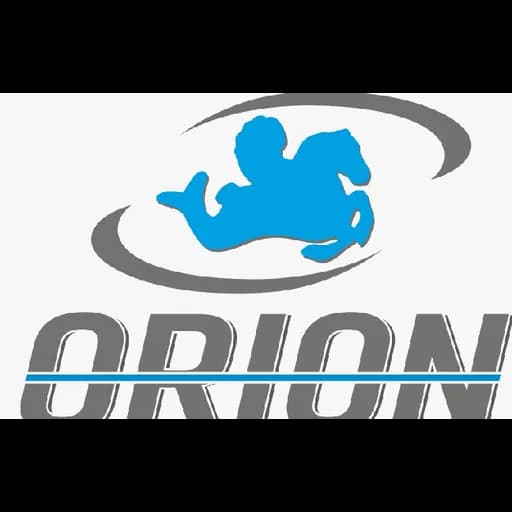 ORION INTERNATIONAL LOGISTICS logo