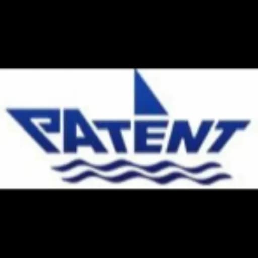 Patent International Logistics (Shen Zhen) Co., Ltd. logo