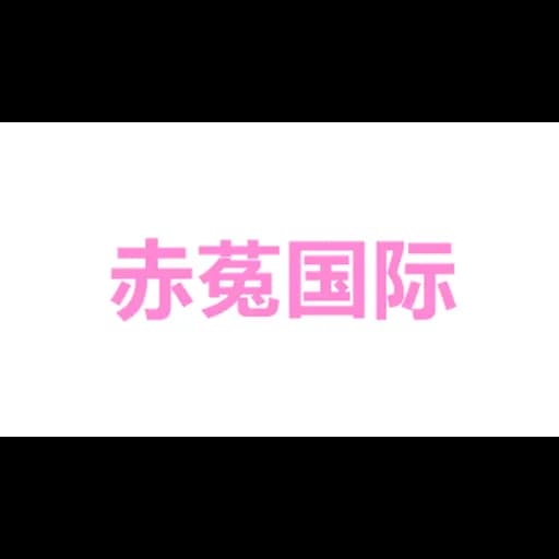 Pony International Supply Chain(Shenzhen) CO.,LTD logo