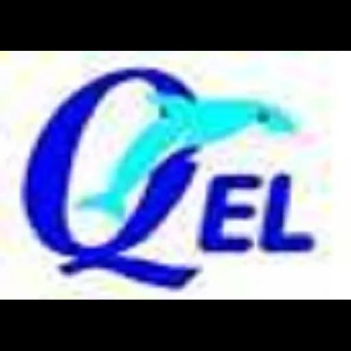Q EXPRESS LINE SDN BHD logo