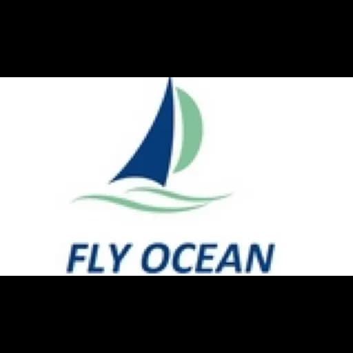 QINGDAO FLY OCEAN LOGISTICS LTD. logo