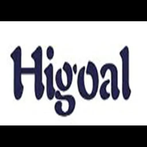 Qingdao Higoal International Logistics Co., Ltd logo