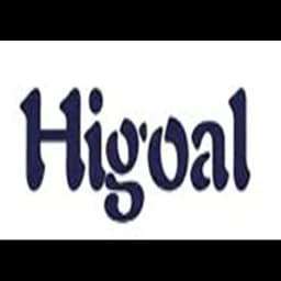 Qingdao Higoal International Logistics Co., Ltd logo