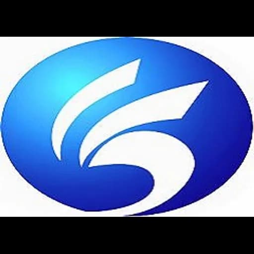 Qingdao Huisheng International Logistics Co., Ltd. logo