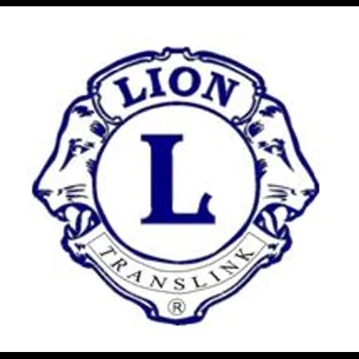 Qingdao Lion-Translink Co., Ltd logo