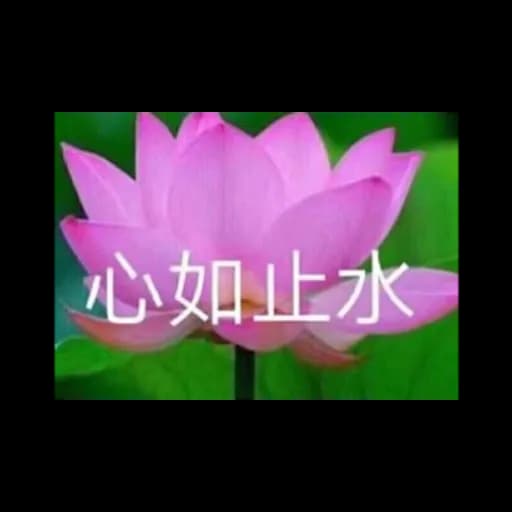 qwadscxqwefdasc logo