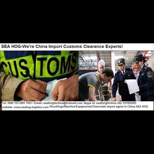 Sea Hog International Logistics Co., Ltd logo