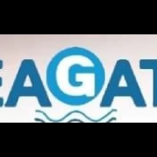 Seagate Shipping Services logo