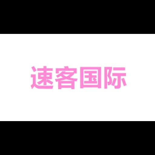 SEKO International Freight Forwarding (Shanghai) Co.,Ltd Hangzhou Branch logo