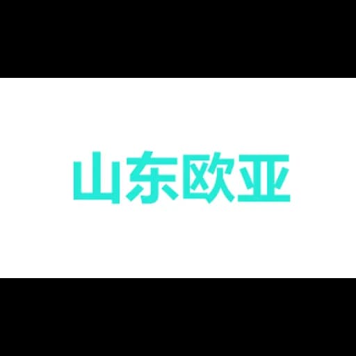 SHANDONG EURASIA SHIPPING GROUP LIMITED logo