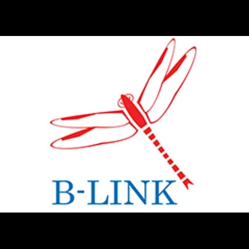 Shanghai B-LINK Logistics Co., Ltd. logo