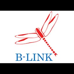 Shanghai B-LINK Logistics Co., Ltd. logo