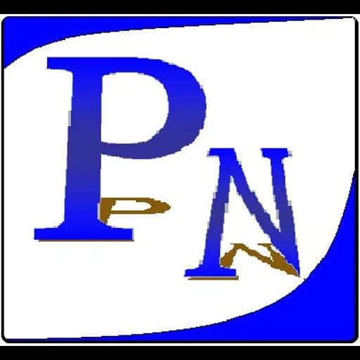 Shanghai Panuo International Transportation CO.,LTD logo