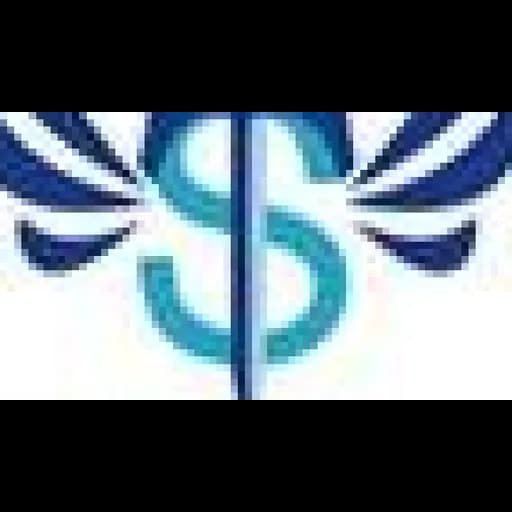 Shanghai Top Star Express Co., Ltd. logo