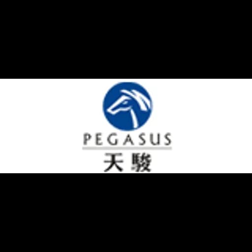 SHANTOU PEGASUS INTERNATIONAL LOGISTICS CO., LTD logo