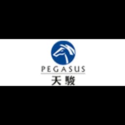 SHANTOU PEGASUS INTERNATIONAL LOGISTICS CO., LTD logo