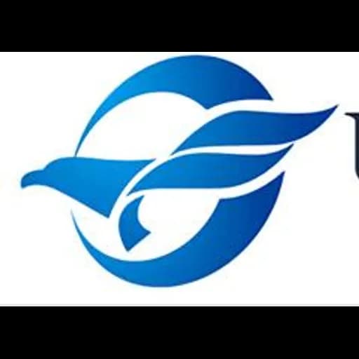 Shenzhen Boing International Freight Co.,Ltd logo