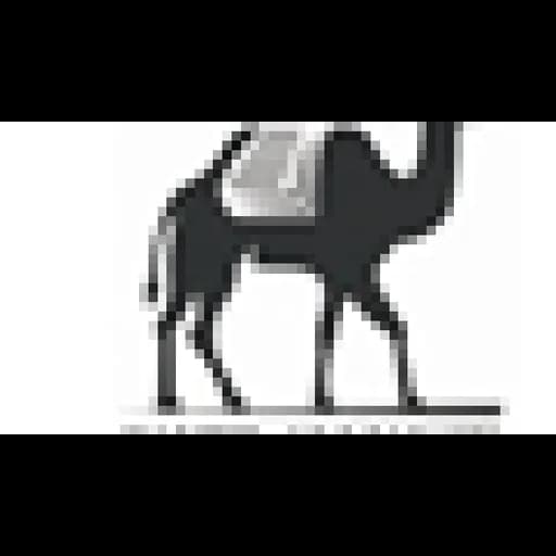 Shenzhen Camel Alliance International Logistics Limited logo