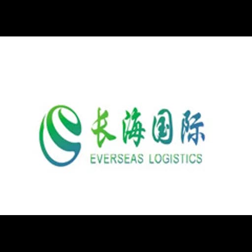 Shenzhen Everseas International Logistics Co., Ltd logo