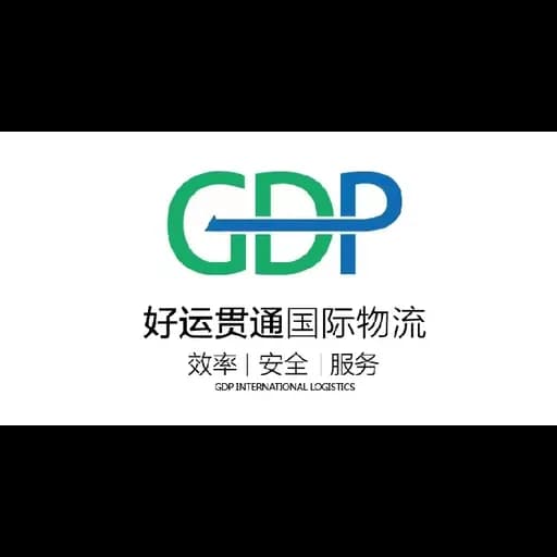 Shenzhen GDP International Logistics Ltd logo