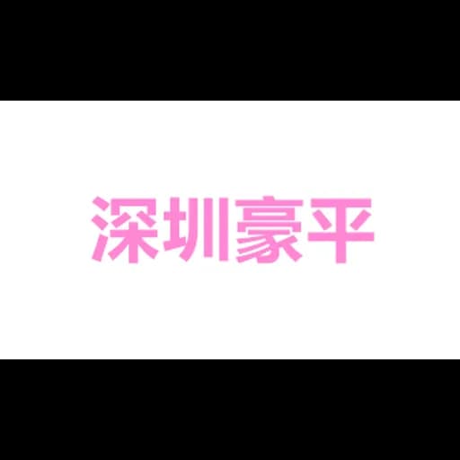 SHENZHEN HOPING LOGISTICS LTD logo