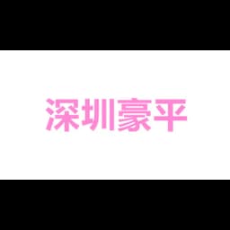 SHENZHEN HOPING LOGISTICS LTD logo