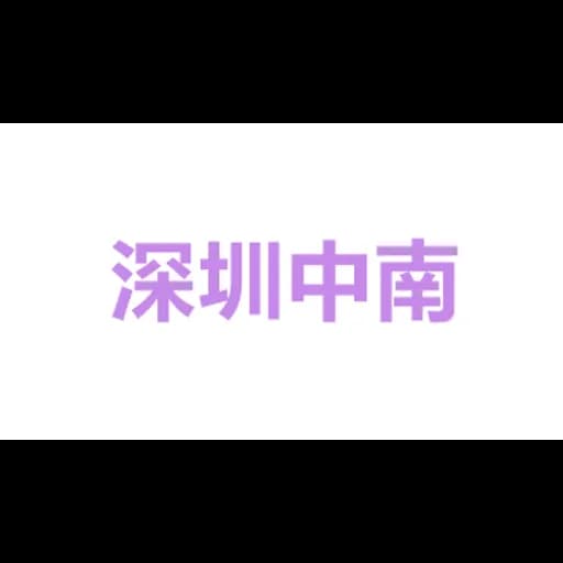 SHENZHEN INDO-CHINA INTERNATIONAL LOGISTICS CO.,LTD logo