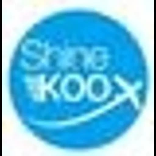 Shenzhen Shinekoo Supply Chain Co.,Ltd logo