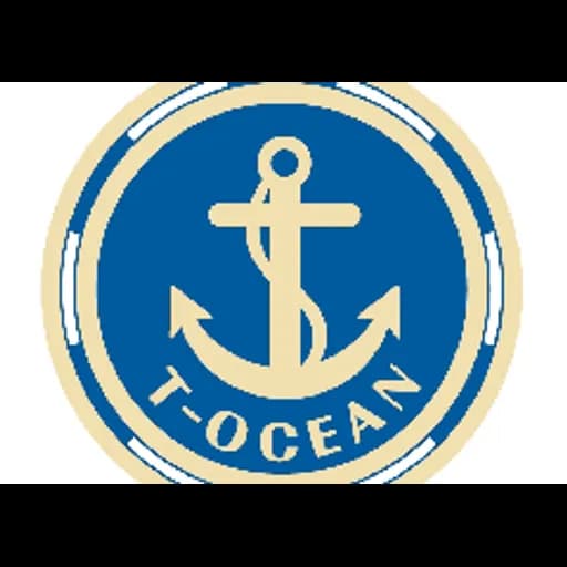 Shenzhen T-Ocean Logistics Co.,Ltd. Guangxi Branch logo