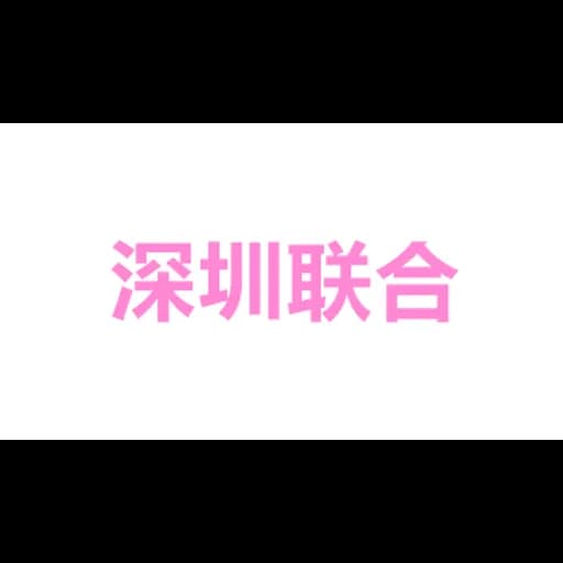 Shenzhen United Logistics Development Co., Ltd. Qingdao Branch logo