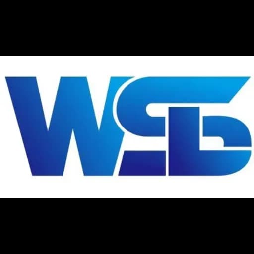 SHENZHEN WIN SPEED INTERNATIONAL LOGISTICS CO., LTD logo