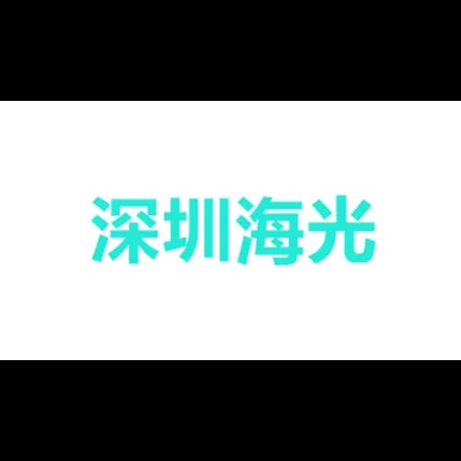 shining ocean logistics Group logo